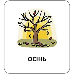 Картки з піктограмами. Природні явища. Пори року - Widgit Symbols (518825) - мініатюра 7
