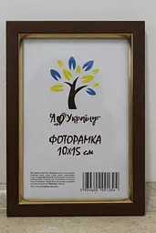 Фоторамка 10х15, світло-коричнева із золотою вставкою, 1511-5120, Скло + Картон