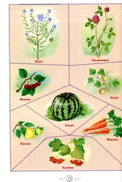 Я досліджую світ. 1-4 класи. Енциклопедія для чомусиків - Антоніна Каніщенко - мініатюра 10