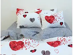Комплект постільної білизни з компаньйоном (R7634) Сімейний TAG tekstil pbe0036737 - мініатюра 3