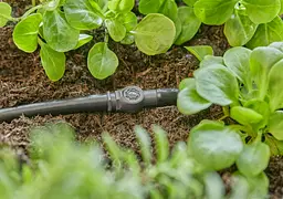 З'єднувач прямий Gardena Micro-Drip-System для шлангів 4,6 мм, 10 шт (13213-20) - мініатюра 2