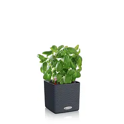 Вазон Lechuza Cube Color, 0.4 л, білий (13380) - мініатюра 8