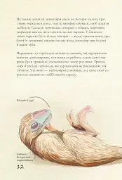 Крейдовий період: Динозаври та інші прадавні тварини - мініатюра 12