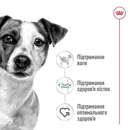Сухий корм Royal Canin Mini Adult для дорослих собак, з м'ясом птиці, 0,8 кг - мініатюра 2
