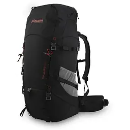 Рюкзак Pinguin Walker 50 2020 Black (1033-PNG 321197)