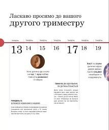 Вагітність день за днем - Меггі Блотт - мініатюра 7