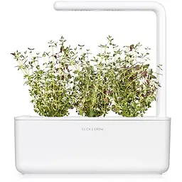 Змінний картридж Click & Grow Smart Garden Чебрець, 3 капсули (7373) - мініатюра 4
