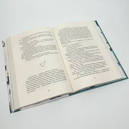 Ворони - Стівотер Меґґі | Nebo Booklab Publishing, книга українською, нова, тверда - мініатюра 5