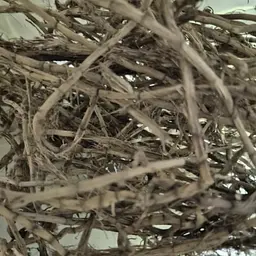 100 г осока корінь сушений, подрібнений – свіжий урожай