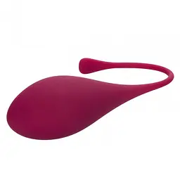 Набір вагінальних кульок California Exotics Kegel Training 5-Piece Set - мініатюра 9