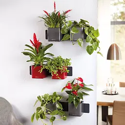 Комплект вазонів з кріпленням Lechuza Green Wall Home Kit Glossy 48х6х14 см антрацит (13524) - мініатюра 5