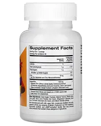 Цинк для дітей Zinc Plus Lozenge For Children 90 жувальних таблеток CGN vit0004718 - мініатюра 2