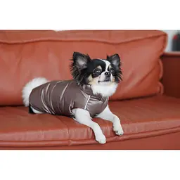 Жилет Pet Fashion Hardy для собак розмір L - мініатюра 4