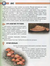 Енциклопедія для допитливих А5 : Рослини і тварини України (Українська ) - Тетяна Станкевич - мініатюра 7