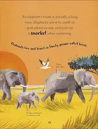 The Bedtime Book of Animals - мініатюра 3
