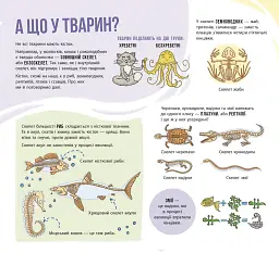 Скелети і кістки. Енциклопедія з віконцями - Ганна Булгакова - мініатюра 3