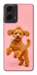 TPU чохол Demsky Happy poodle для Motorola Moto G24