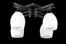 Люстра стельова з білим плафоном Splendid-Ray 30-3619-95