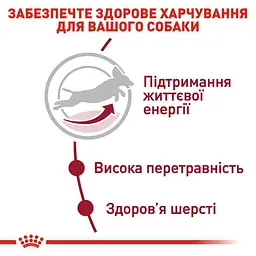 Сухий корм для старіючих собак Royal Canin Medium Adult 7+, 15 кг (3005150) - мініатюра 5