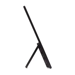 Монітор Acer PM161QJ2bmiuux (UM.ZP1EE.201) - мініатюра 5