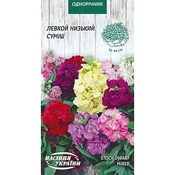 Насіння Левкой Сивий Насіння України низький суміш 0.1 г (788600)