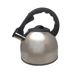 Чайник со свистком Aureti 2.5 л серебристый (AU-602-1)