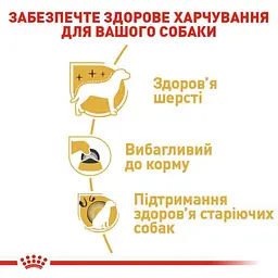 Сухий корм для дорослих собак породи Йоркширський Тер'єр Royal Canin Yorkshire Terrier Adult, 3 кг (3051030) - мініатюра 6