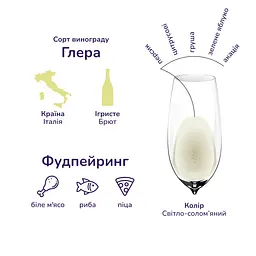 Уцінка. Вино ігристе Bottega Vino dei Poeti Prosecco Brut біле брют 11% 0.75 л (671479) - мініатюра 5