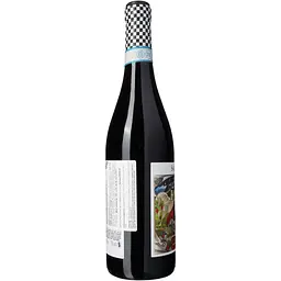 Вино SalvaTerra Valpolicella DOC Classico 2022 червоне сухе 13% 0.75 л - мініатюра 3