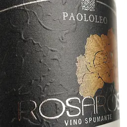 Вино ігристе Paololeo RosaRose Negroamaro Brut Spumante Blanc біле брют 0.75 л - мініатюра 3