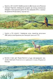 Бакотський скарб - мініатюра 9