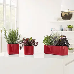 Вазон Lechuza Cube Glossy 16 антрацит (13521) - мініатюра 4