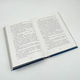 Срібний снігопад — Лаура Вуд - мініатюра 3