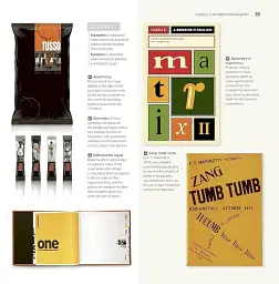 Graphic Design School. A Foundation Course for Graphic Designers Working in Print, Moving Image and Digital Media - мініатюра 7