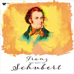 Вініловий диск CLASSICAL COMPOSER COMPILATION BEST OF SCHUBERT
