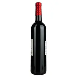 Вино Paul Chapelier Reserve De Foncegrives Rouge AOP Fronton, червоне, сухе, 0.75 л - мініатюра 2