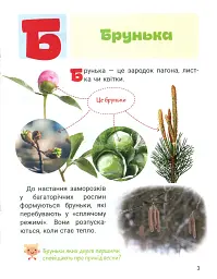 Класна абетка. Рослини - мініатюра 4