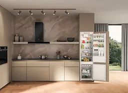 Холодильник Whirlpool WHC20D023B1 SF (7168647) - мініатюра 5