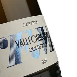 Вино ігристе Vallformosa Reserva Col Leccio Brut біле брют 0.75 л - мініатюра 3
