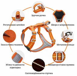 Шлея для собак Duomm No-Pull з повідцем, регульована та світловідбивна помаранчевий, L - мініатюра 2