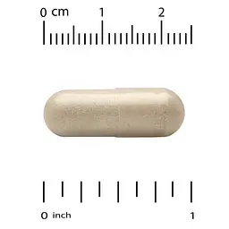 Ензими Complete Enzymes 90 Capsules CGN vit0006036 - мініатюра 3