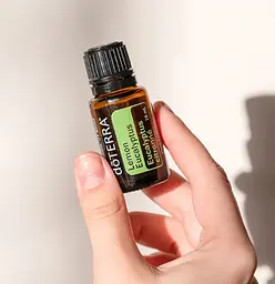 Ефірна олія Лимонний евкаліпт Lemon Eucalyptus doTERRA, 15 мл - мініатюра 2