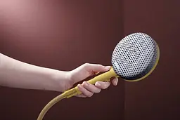 Ручний душ Hansgrohe Raindance Alive Select S EcoSmart polished gold optic 24511990 - мініатюра 2