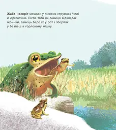 Дивовижна природа : Дивовижні дитинчата тварин - мініатюра 6