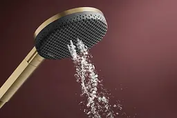 Ручний душ Hansgrohe Raindance Alive Select S EcoSmart brushed bronze 24511140 - мініатюра 3
