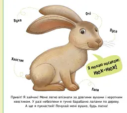 Лісові тварини. Познайомся і погладь - Ірина Потаніна - мініатюра 3