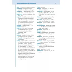 Basiswörterbuch. Deutsch als Fremdsprache - мініатюра 5