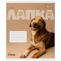 Набір зошитів Yes Ursa 18 аркушів у клітинку 25 шт. (768954) - мініатюра 3
