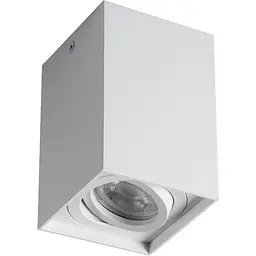 Cвітильник стельовий Kanlux Gord XS DLP-50-W (25477)