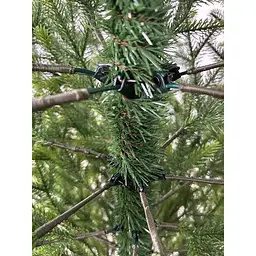 Ялинка штучна Hvoya Forest 180 см лита зелена з салатовими кінчиками - мініатюра 7